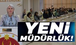 YENİ MÜDÜRLÜK