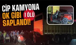 D-650'DE CİP, KAMYONA OK GİBİ SAPLANDI: 1 ÖLÜ