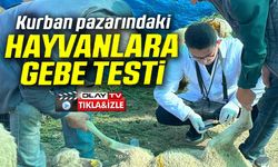 KURBAN SATIŞ PAZARINDA HAYVANLARA GEBELİK TESTİ YAPILIYOR