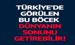 BU BÖCEK DÜNYANIN SONUNU GETİREBİLİR!