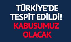 TÜRKİYE'DE TESPİT EDİLDİ! KÂBUSUMUZ OLACAK: