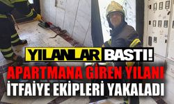 ENGEREK YILANI İTFAİYE EKİPLERİNCE YAKALANDI