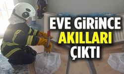 EVE GİRİNCE AKILLARI ÇIKTI