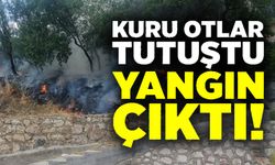SİGARA İÇEN ÇOCUKLAR OTLARI TUTUŞTURDU