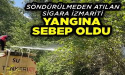 KOSKOCA TABİAT PARKI BİR SİGARA İZMARİTİ YÜZÜNDEN KÜL OLACAKTI