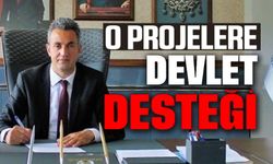 O PROJELERE DEVLET DESTEĞİ