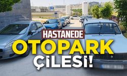 GELİŞİ GÜZEL PARKLANMA SÜRÜCÜLERİ ZORA SOKUYOR