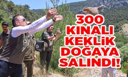 300 KINALI KEKLİK DOĞAYA SALINDI