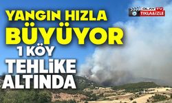 ORMAN YANGINI HIZLA BÜYÜYOR