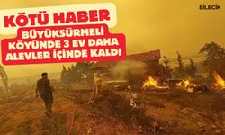 BÜYÜKSÜRMELİ KÖYÜNDE YANGIN 3 EVE SIÇRADI