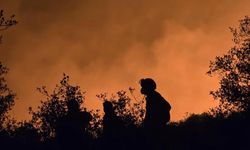 YANMAK ÜZERE OLAN HAYVANLARI KURTARDI