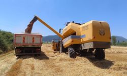 TARIM ARAZİLERİNDE HASAT SEVİNCİ