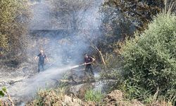 TAŞINBURNU MEVKİİNDEKİ ORMAN YANGINDA SOĞUTMA ÇALIŞMALARI SONA ERDİ
