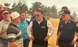 VALİ SÖZER, YANGIN BÖLGESİNDE İNCELEME YAPTI