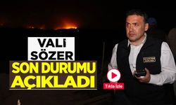 BİLECİK'TEKİ YANGINDA ALEVLER İLÇE MERKEZİNE DOĞRU İLERLİYOR