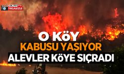 BİLECİK'TEKİ ORMAN YANGININDA ALEVLER KAZANCI KÖYÜNE ULAŞTI