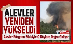 BİLECİK'TE ALEVLER YENİDEN YÜKSELMEYE BAŞLADI