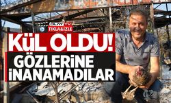 YANGINDAN KAÇIP KURTULAN TAVUK KÜMESİNE GERİ DÖNDÜ