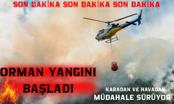BİLECİK’TE ORMAN YANGINI BAŞLADI