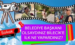 BELEDİYE BAŞKANI OLSAYDINIZ BİLECİK'E İLK NE YAPARDINIZ?