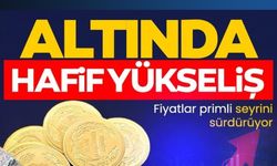ALTINDA SINIRLI AMA ANLAMLI HAREKET