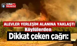BİLECİK'TEKİ ORMAN YANGININDA ALEVLER BORCAK KÖYÜNE DOĞRU İLERLİYOR