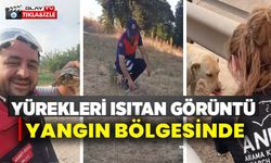YANGINDAN ETKİLENEN HAYVANLARA ELLERİYLE SU VERDİLER