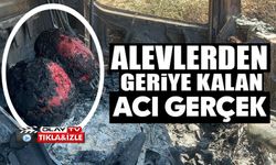 ORMAN YANGININDAN GERİYE KALANLAR