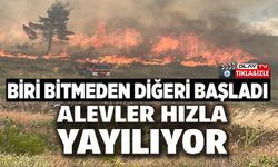 ORMAN YANGINI BAŞLADI