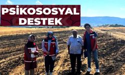 YANGININ ARDINDAN PSİKOSOSYAL DESTEK İNCELEMESİ