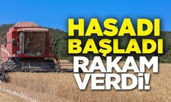BU YIL 75 BİN 104 TON BUĞDAY HASADI YAPILACAK