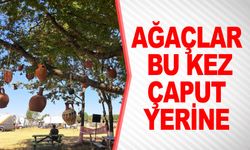 AĞAÇLAR, ÇAPUT YERİNE ÇÖMLEKLE SÜSLENDİ