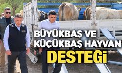 YANGIN SONRASI ÜRETİCİLERE BÜYÜKBAŞ VE KÜÇÜKBAŞ HAYVAN DESTEĞİ SAĞLANDI