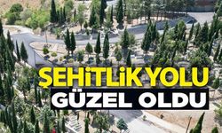 ŞEHİTLİK YOLU ASFALTLA YENİLENDİ