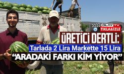 TESCİLLİ OSMANELİ KARPUZUNDA HASAT ZAMANI
