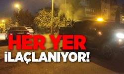 MAHALLE MAHALLE SİNEK İLAÇLAMASI
