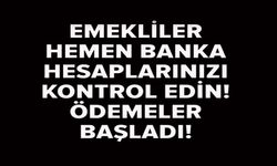 EMEKLİ SANDIĞI FARK ÖDEMELERİ
