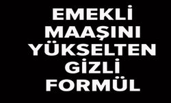 EMEKLİ MAAŞINI YÜKSELTMEK İÇİN GİZLİ FORMÜL!