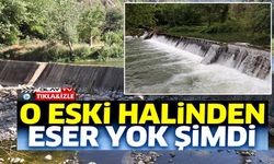 KURAKLIK VE ORMAN YANGINLARI DÜZMEŞE BENTİ'NİN ADETA KURUTTU