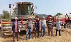 GÖLPAZARI'NDA HASAT KONTROLLERİ TÜM HIZIYLA SÜRÜYOR