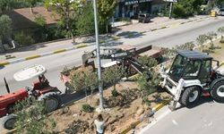 OSMANELİ ESTETİĞİNE YENİ ADIM
