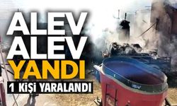 BİLECİK'TE ÇIKAN SAMANLIK YANGINI, 1 YARALI