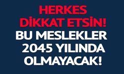 BU MESLEKLER 2045 YILINDA OLMAYACAK
