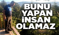 KENT ORMANI'NDAN SEYİR TERASINA ZARAR VERDİLER