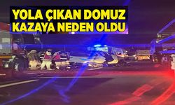 ANİDEN YOLA ÇIKAN DOMUZ KAZAYA NEDEN OLDU: 5 YARALI