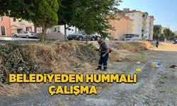 SÖĞÜT'TE REFÜJLER VE YEŞİL ALANLAR YENİLENİYOR