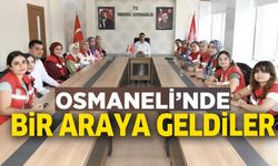 GÖNÜLLÜ GENÇLER OSMANELİ'NDE BULUŞTU