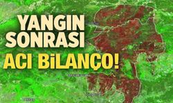YAŞANAN ORMAN YANGINLARINDA 17 BİN HEKTAR ALAN KÜL OLDU