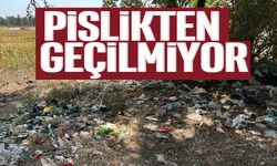 ALKOL ALANLAR ŞEHRİN GÖBEĞİ ÇÖPLÜĞE ÇEVİRDİLER