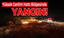 YÜKSEK GERİLİM HATTI ALTINDA ÇIKAN YANGIN KORKUTTU